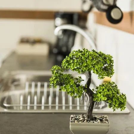 View Anais Boutique A1 Esparta