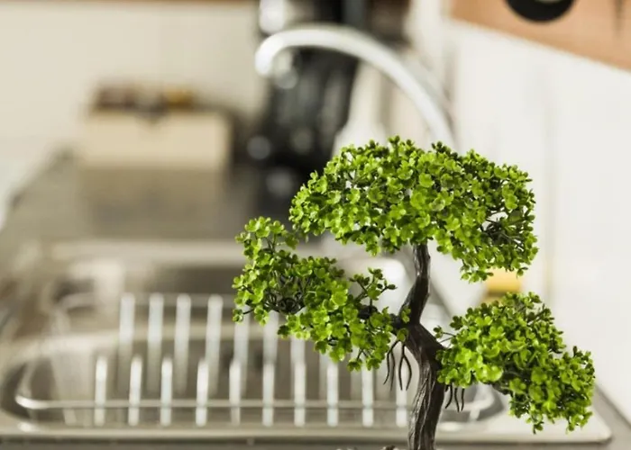 View Anais Boutique A1 Sparta